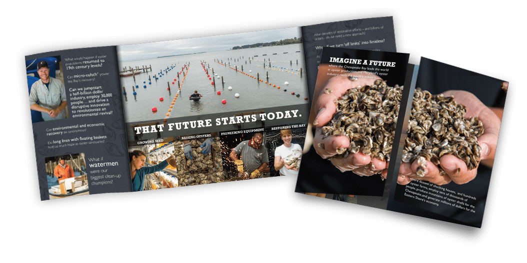 Hope on a Half Shell